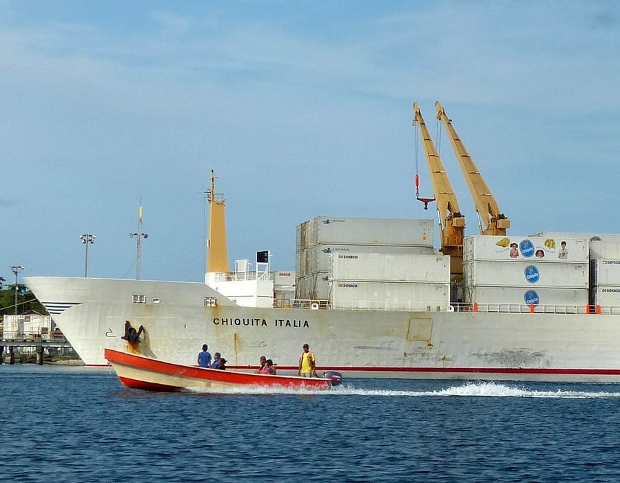 Click to See Next Image