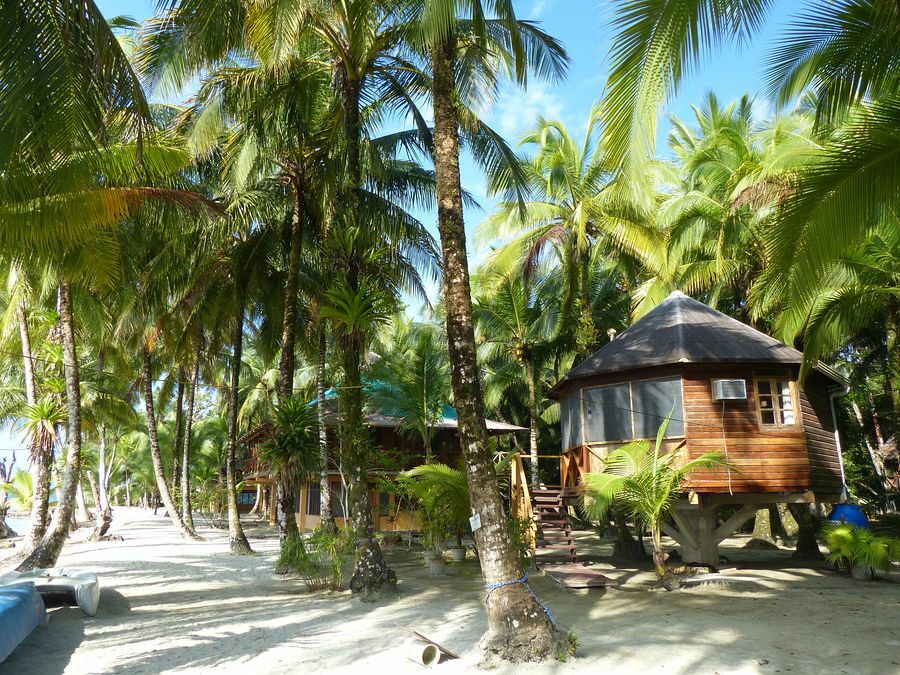 Click to See Next Image