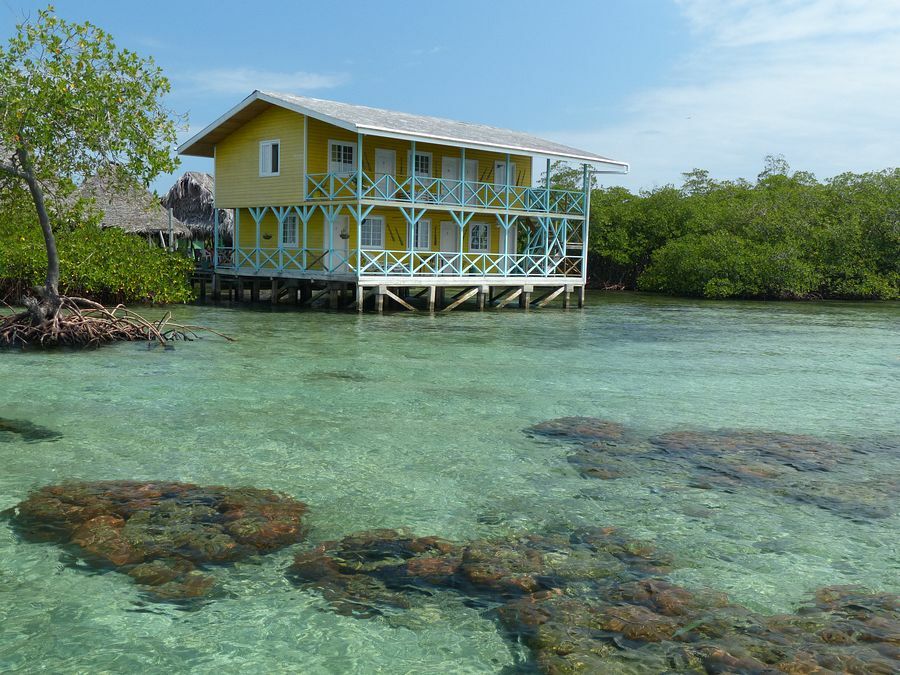 Click to See Next Image