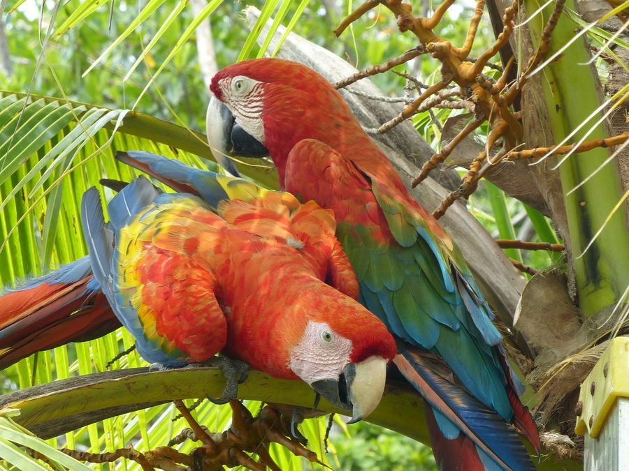 Click to See Next Image