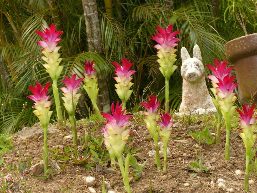 Click to See Next Image