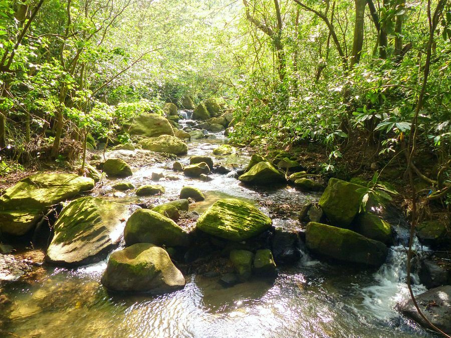 Click to See Next Image