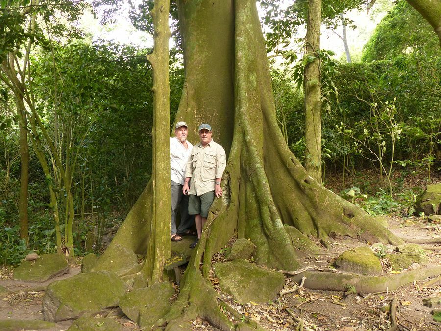 Click to See Next Image