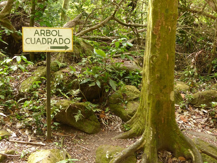 Click to See Next Image