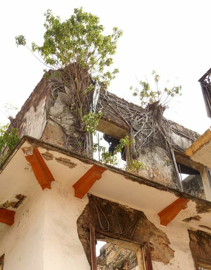 Click to See Next Image