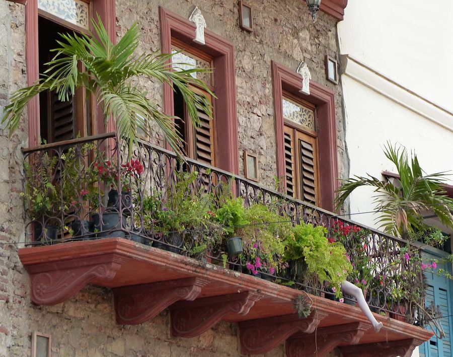 Click to See Next Image