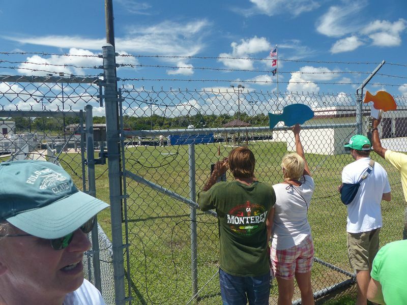 Click to See Next Image