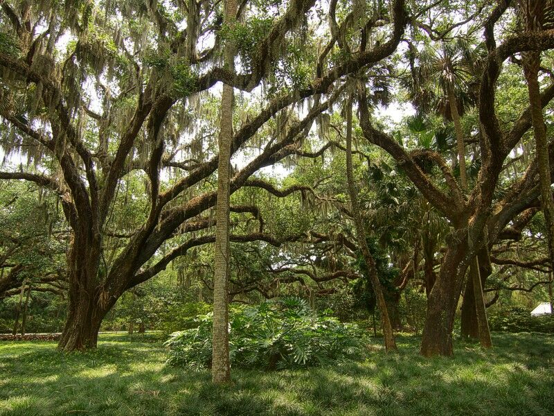 Click to See Next Image