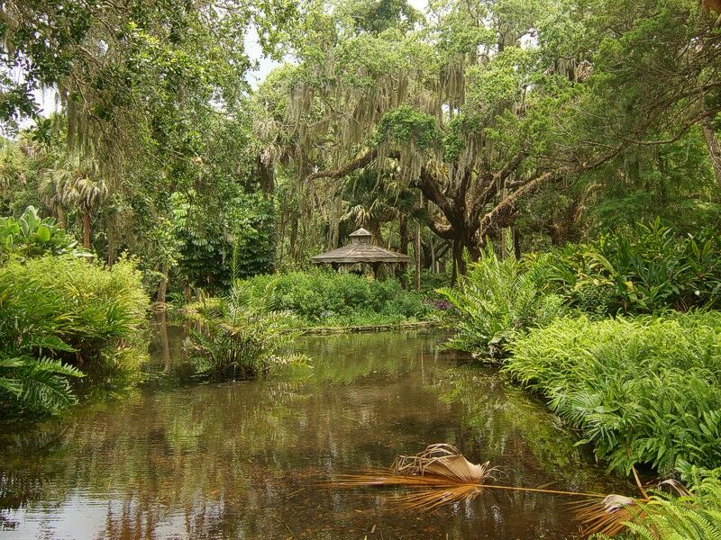 Click to See Next Image