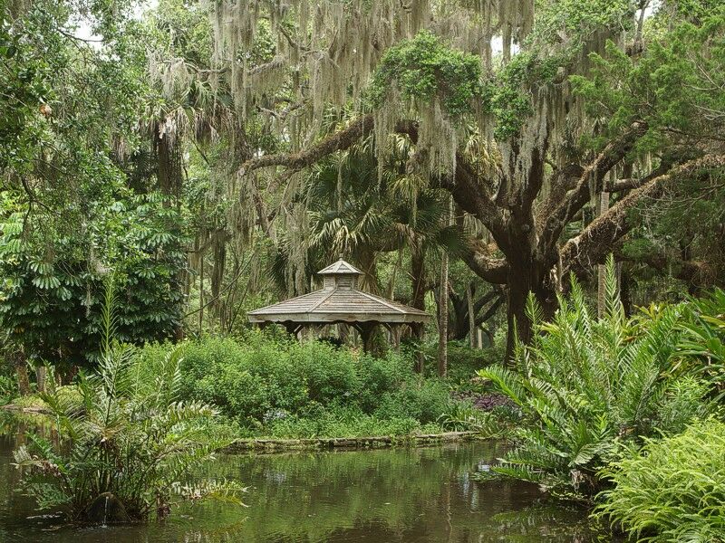 Click to See Next Image