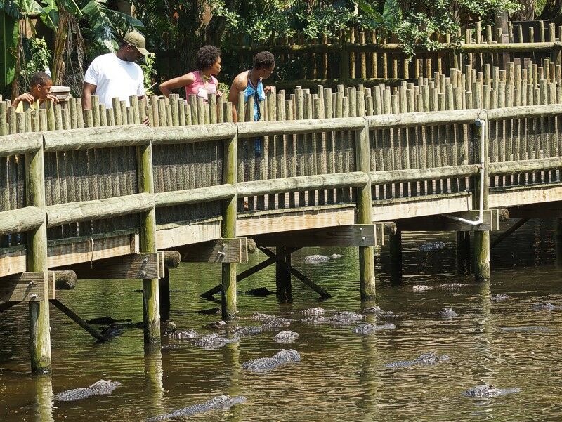 Click to See Next Image