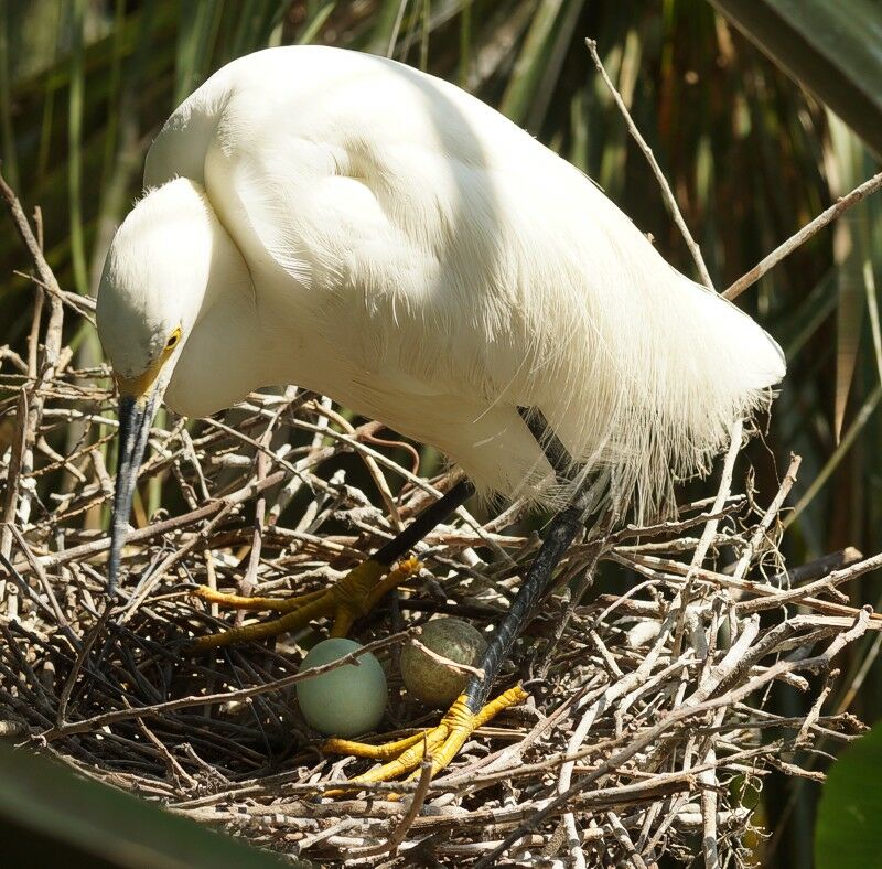 Click to See Next Image