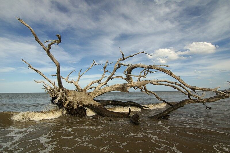 Click to See Next Image