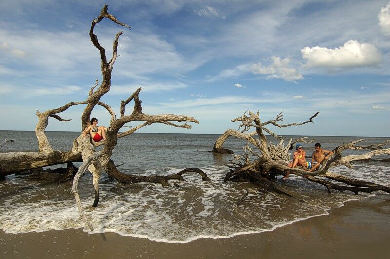 Click to See Next Image