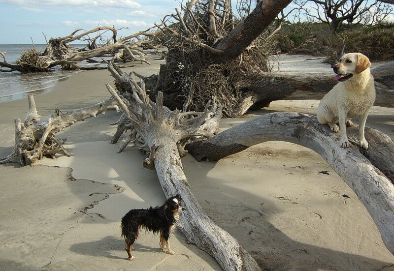 Click to See Next Image