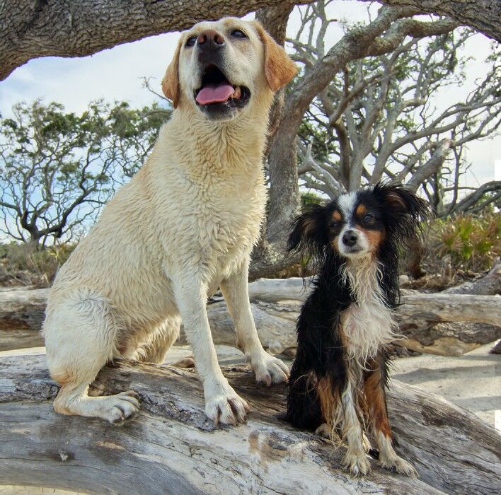 Click to See Next Image