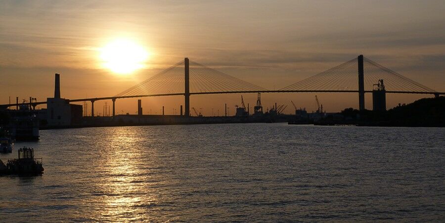 Click to See Next Image