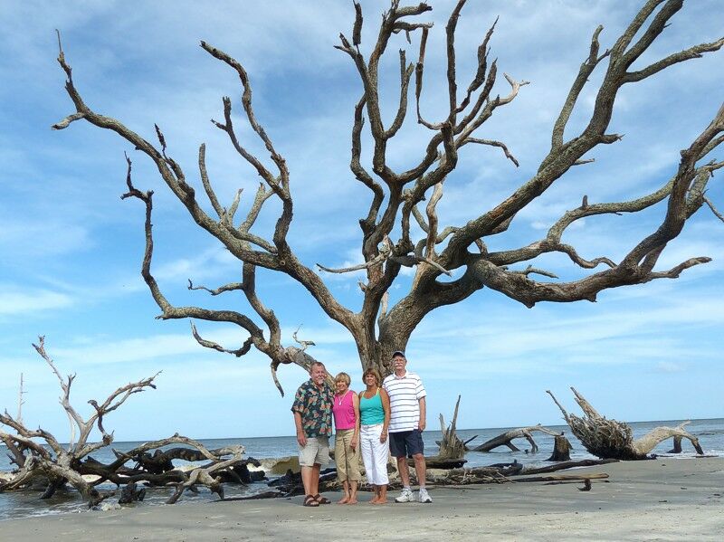 Click to See Next Image