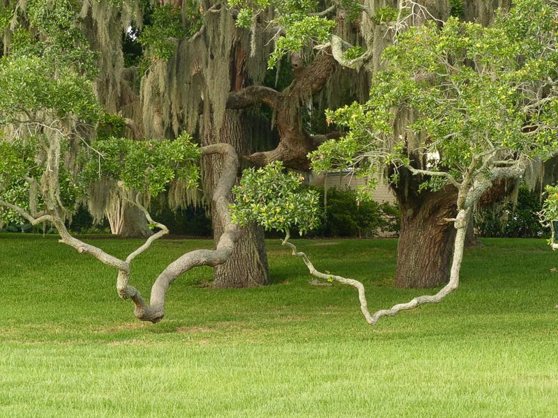 Click to See Next Image