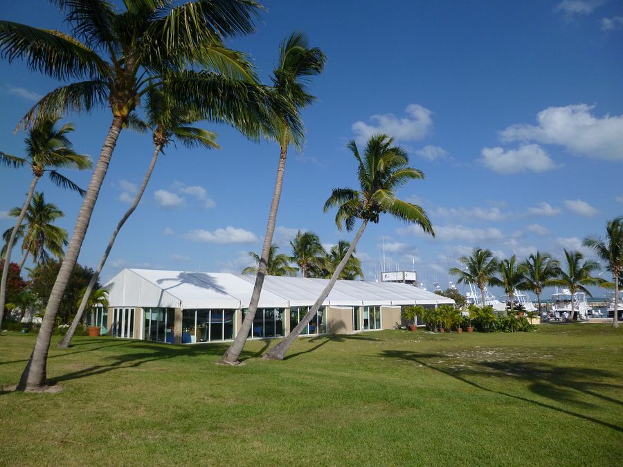 Click to See Next Image