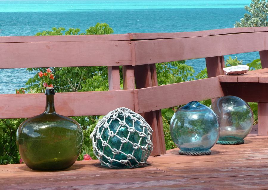 Click to See Next Image