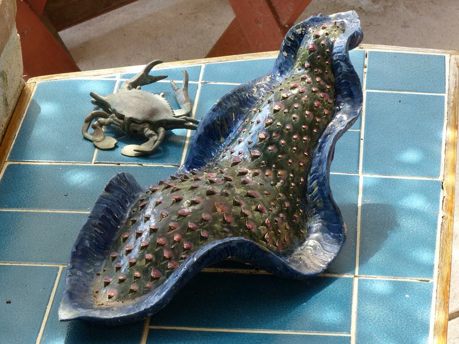 Click to See Next Image