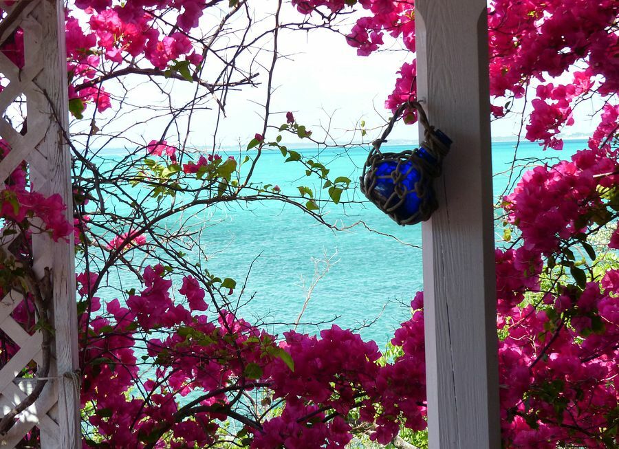 Click to See Next Image