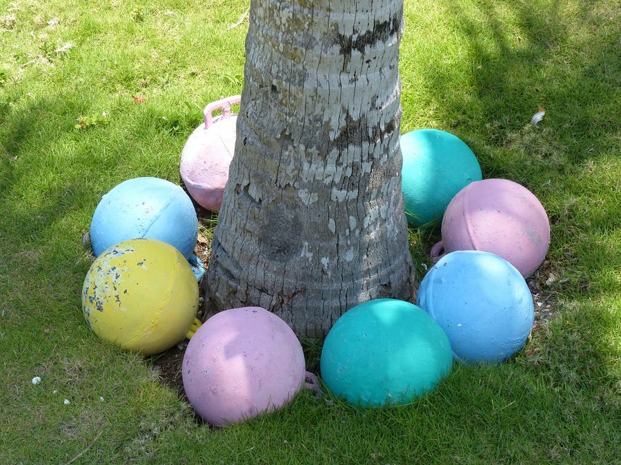 Click to See Next Image