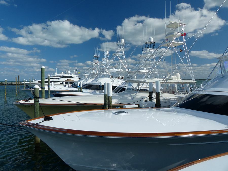 Click to See Next Image