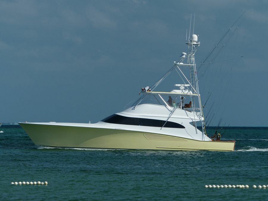 Click to See Next Image