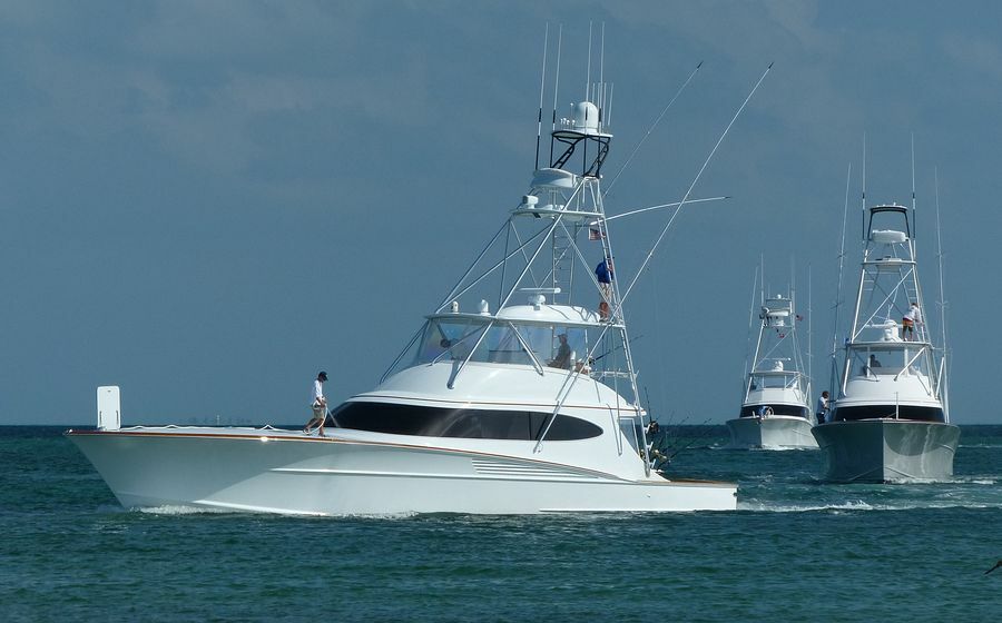 Click to See Next Image