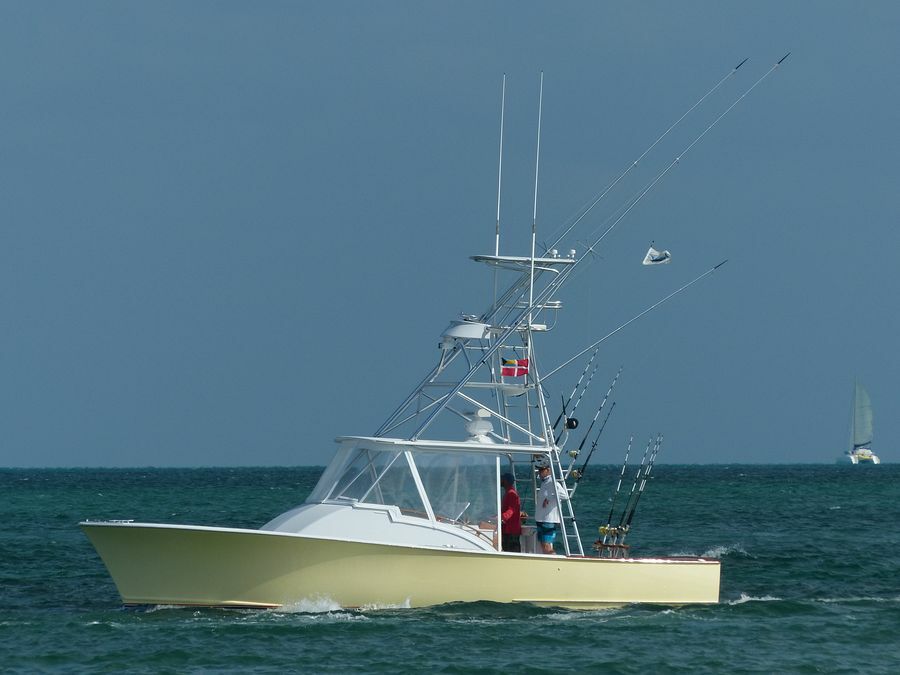 Click to See Next Image