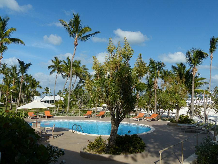 Click to See Next Image