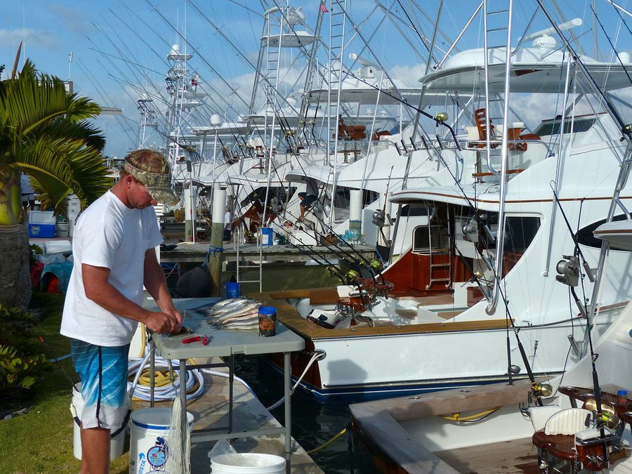 Click to See Next Image