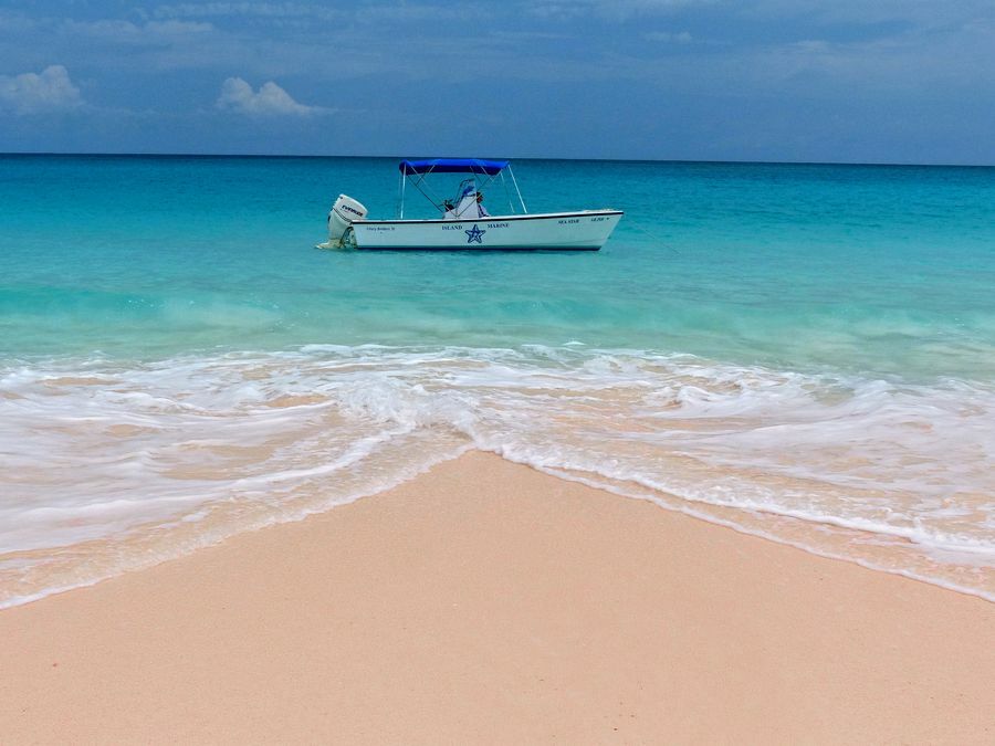 Click to See Next Image