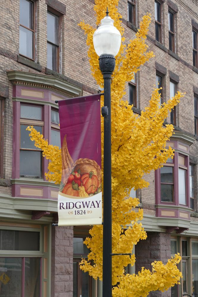 Click to See Next Image