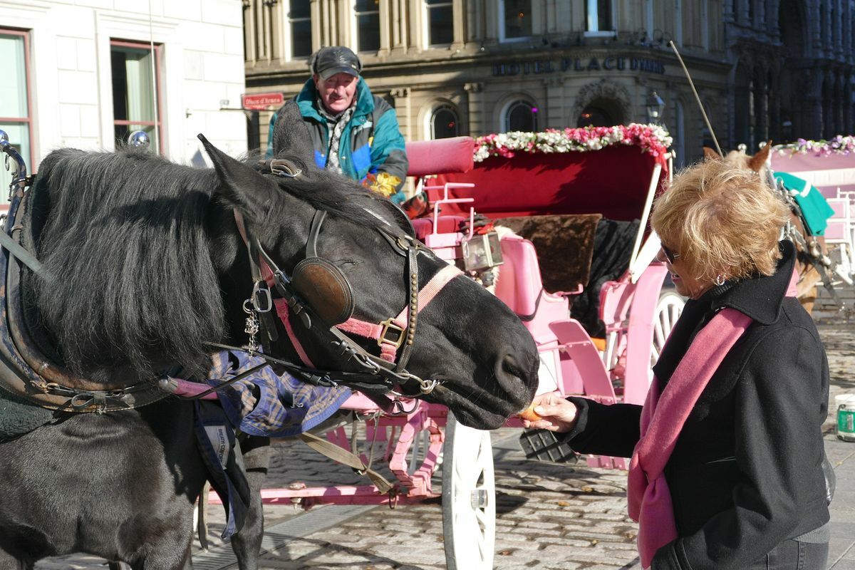 Click to See Next Image