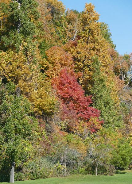 Click to See Next Image