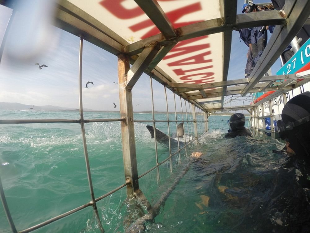 Click to See Next Image