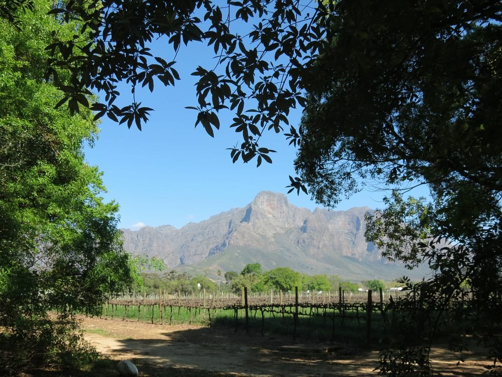 Click to See Next Image