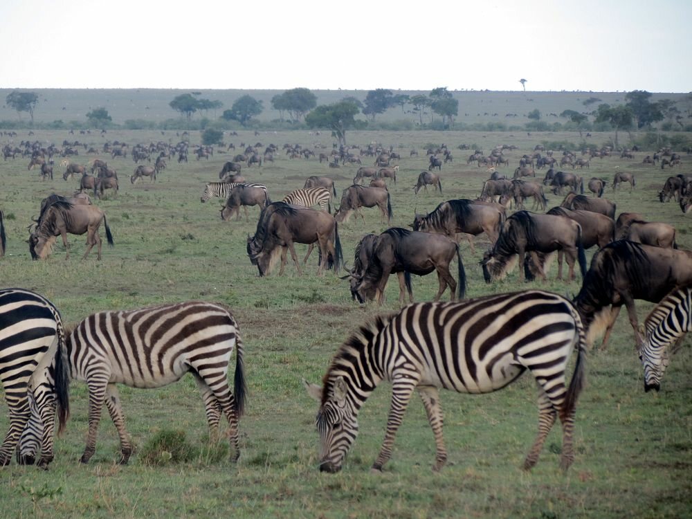 Click to See Next Image