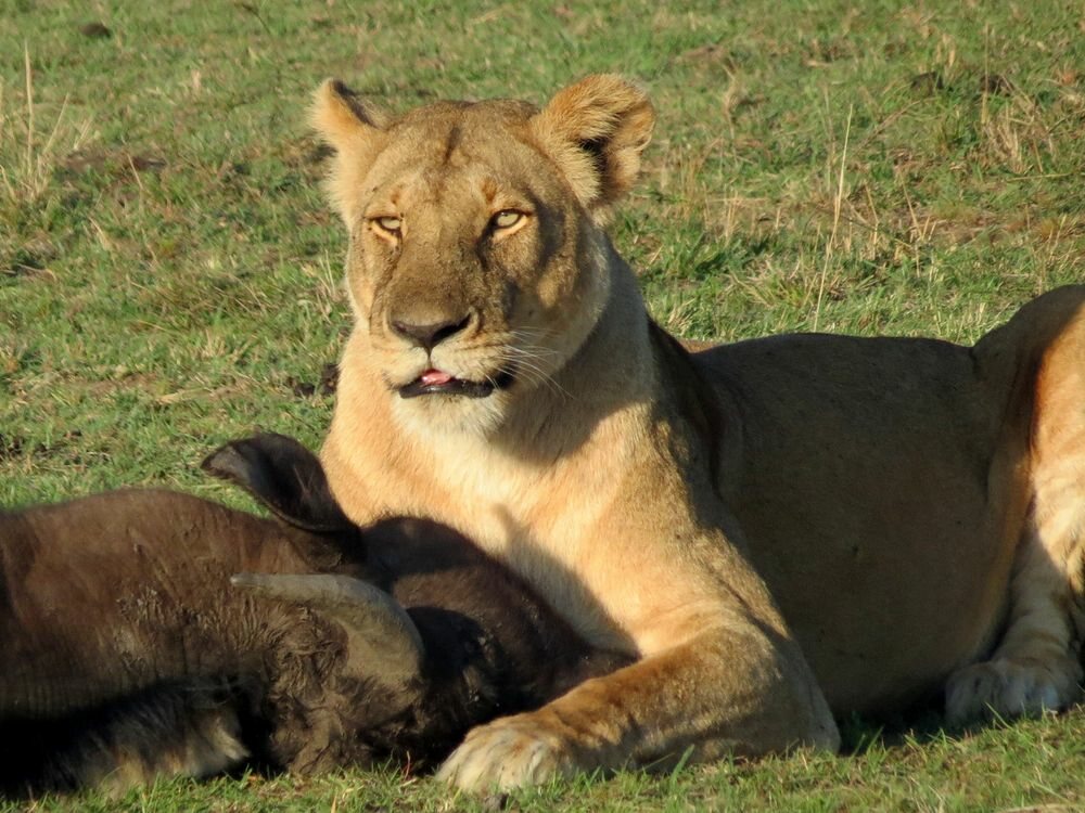 Click to See Next Image