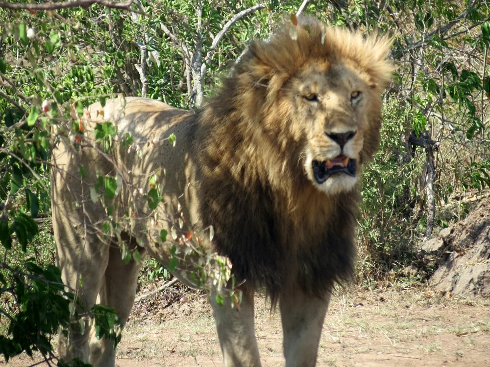 Click to See Next Image