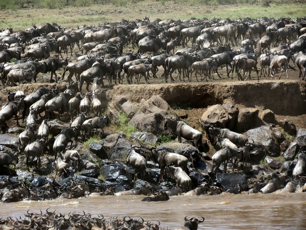 Click to See Next Image