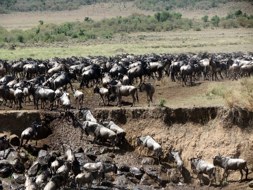 Click to See Next Image