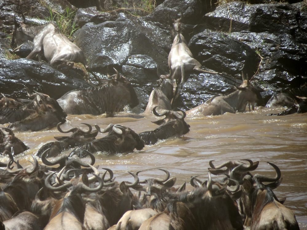 Click to See Next Image