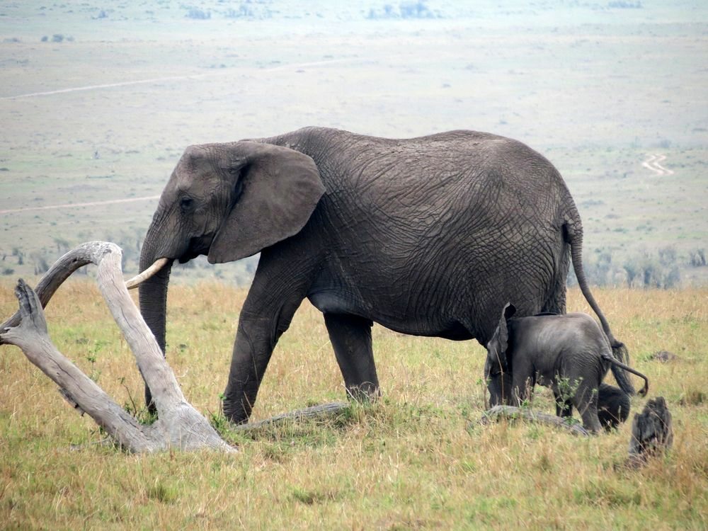 Click to See Next Image