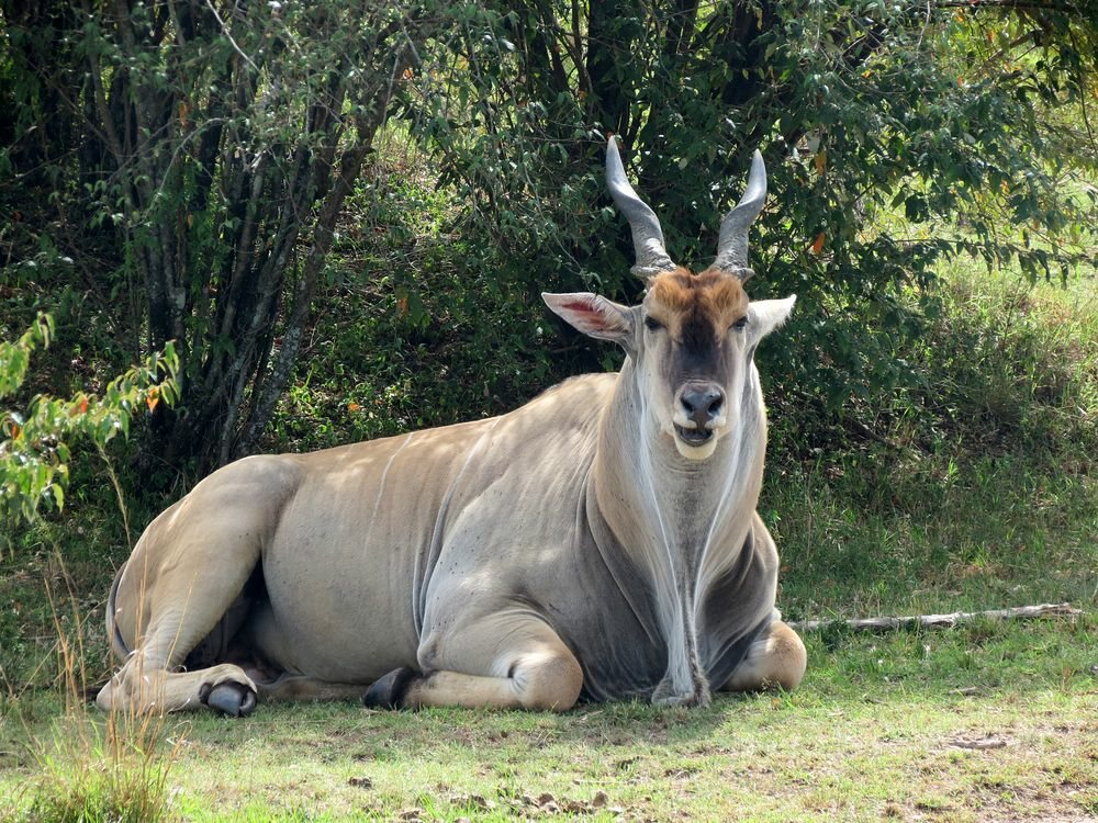 Click to See Next Image