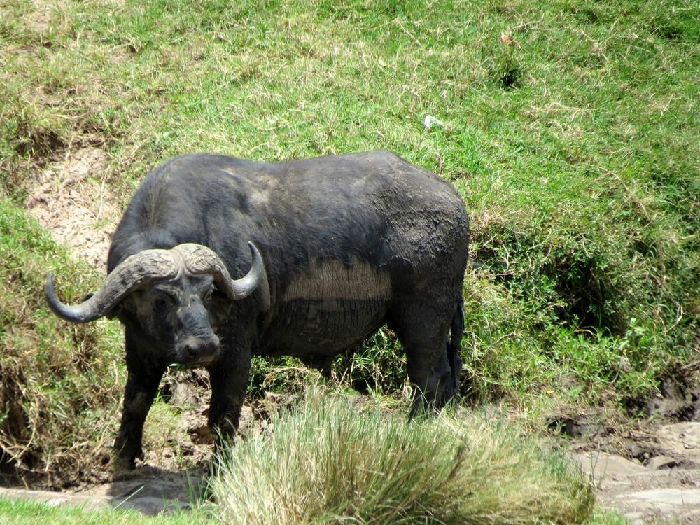 Click to See Next Image