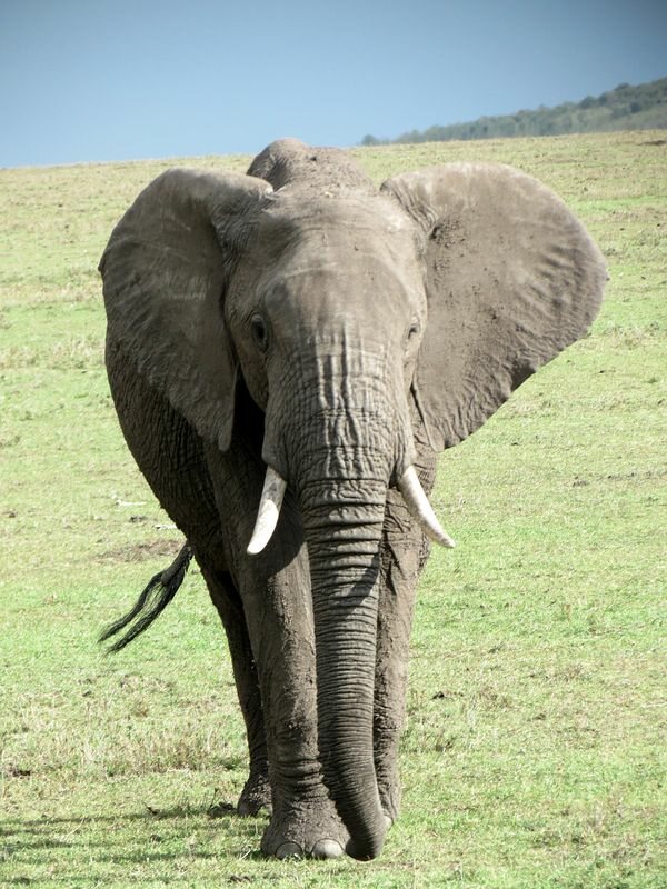 Click to See Next Image